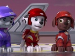 Replay Paw Patrol, la Pat'Patrouille - Mission Tout-Terrain : L'exploration de la grotte