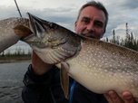 Replay Pêche XXL - S5E3 - Tueur de piranhas