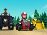 Replay Paw Patrol, la Pat'Patrouille - M. Hellinger le baby-sitter
