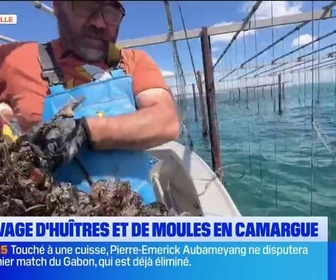 Replay Les longs formats des Locales - Dans Notre Assiette : les spécialités entre Peynier et Istres