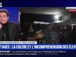 Replay BFM Grand Soir - Abattages : la colère et l'incompréhension des éleveurs - 12/12