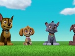 Replay Paw Patrol, la Pat'Patrouille - La Bibliomobile