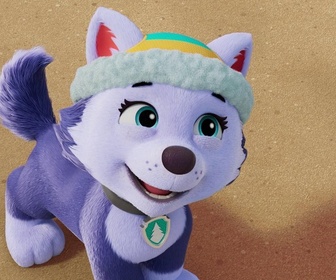 Replay Paw Patrol, la Pat'Patrouille - Les surfeurs des montagnes