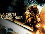 Replay La chute du faucon noir