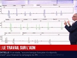 Replay Affaire suivante - Affaire Émile: à quoi ressemble un ADN prélevé et séquencé et comment les enquêteurs l'analysent-ils?