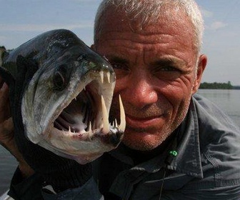 Replay River monsters - S3E1 - Traira géant