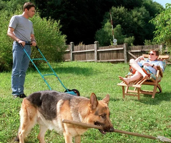 Replay Rex, chien flic - 24/08/2026