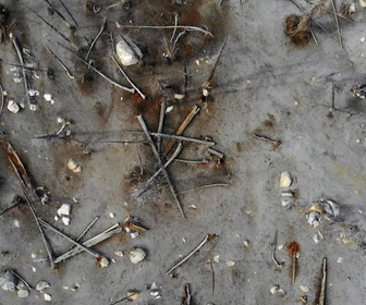 Replay Phénomènes vus de l'espace - S6E4 - Apocalypse en Californie