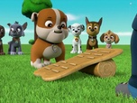 Replay Paw Patrol, la Pat'Patrouille - L'ascension d'El Grande