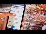 Replay Scanner avant d'acheter : deux nouvelles applications veulent transformer l'achat de poisson