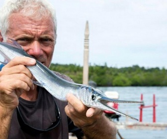 Replay River monsters - S9E3 - Le tueur des coraux