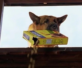 Replay Rex, chien flic - Les chandeliers
