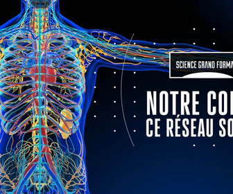 Replay Science grand format - 05/11/2025