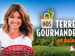 Replay Nos terres gourmandes - Marseille par Hugues Mbenda