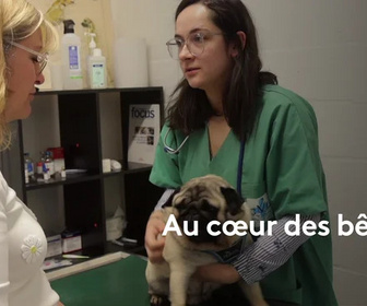 Replay La France en vrai - Au coeur des bêtes