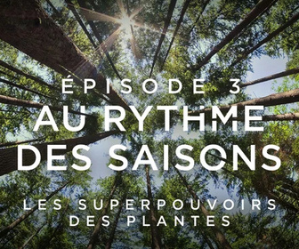 Replay Les superpouvoirs des plantes - 23/02/2026
