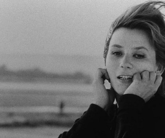 Replay Blow up - Hommage à Chris Marker