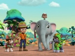 Replay Paw Patrol, la Pat'Patrouille - Mission Jungle : Les fourmis géantes
