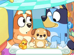 Replay Bluey - 12/06/2026