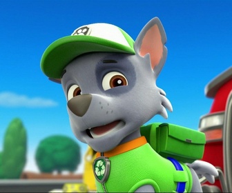 Replay Paw Patrol, la Pat'Patrouille - S01 E31 - La piscine