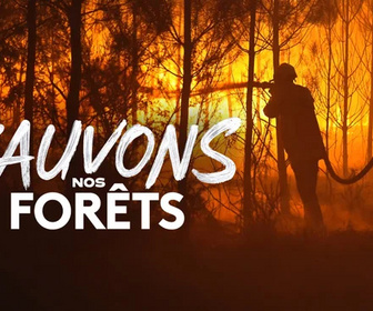 Replay Sauvons nos forêts - 15/09/2026