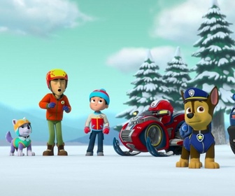 Replay Paw Patrol, la Pat'Patrouille - Danny et l'ours
