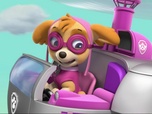 Replay Paw Patrol, la Pat'Patrouille - Le bébé éléphant