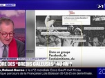 Replay 20H BFM - LE CHOIX DE CHRISTOPHE - Groupe Facebook raciste et antisémite: encore des brebis galeuses au Rassemblement national?