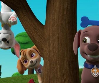 Replay Paw Patrol, la Pat'Patrouille - La tulipe poule