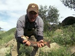 Replay River monsters - S4E3 - Le combattant mongol