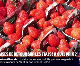 Replay 20H BFM - Sur les marchés, les fraises françaises et espagnoles se côtoient, mais leur prix différent considérablement