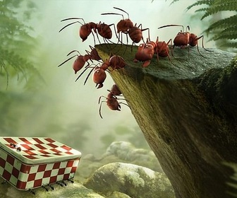 Replay Blow up - Les insectes au cinéma