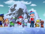 Replay S00 E43 - Compilation Paw Patrol, la Pat'Patrouille 43