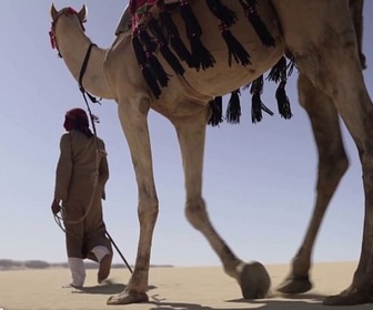 Replay Invitation au voyage - 27/04/2026 - En Égypte, un bâton et un homme