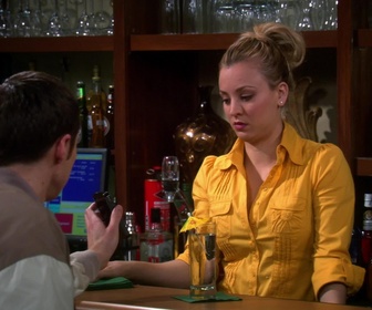 Replay The Big Bang Theory - S4E17 - L'origine du toast