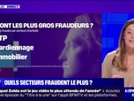 Replay A l'épreuve des faits - LA VÉRIF' - Qui sont les plus gros fraudeurs fiscaux?