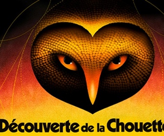 Replay La découverte de la chouette d'or