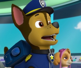 Replay Paw Patrol, la Pat'Patrouille - La Pat'Patrouille sauve un lamantin