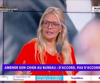 Replay Estelle Midi - Amener son chien au bureau : pour ou contre ?