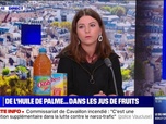 Replay BFMTV répond à vos questions - Jus de fruits, biscotte, soupe: pourquoi trouve-t-on de l'huile de palme dans ces produits?