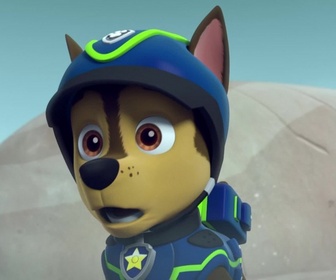 Replay Paw Patrol, la Pat'Patrouille - Les mésanges charbonnières