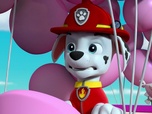 Replay Paw Patrol, la Pat'Patrouille - La fête de la grande vallée