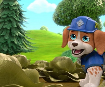 Replay Ruben & cie - Le potager de Zoé