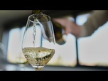 Replay Un polluant éternel présent dans des vins européens