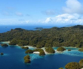 Replay Les derniers paradis - Le sanctuaire sasi de Papouasie
