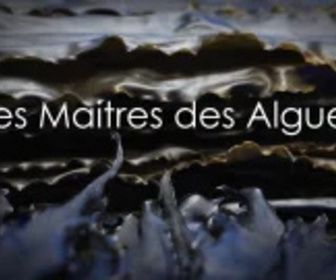 Replay Les maîtres des algues