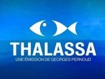 Replay Thalassa