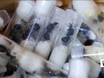 Replay Élément Terre, le reportage - Le trafic mondial d'insectes, nouveau business en plein essor