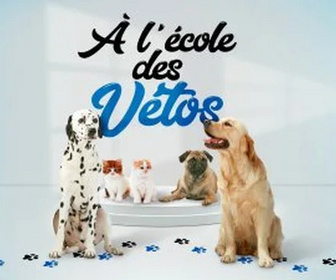 A l'école des vétos replay