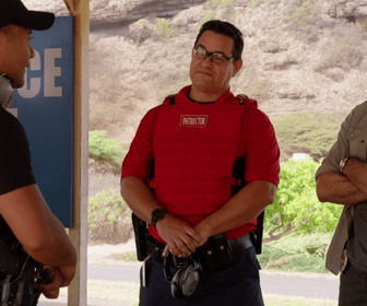 Replay Hawaii 5-0 - S8 E4 - E uhi wale no 'a'ole e nalo, he imu puhi